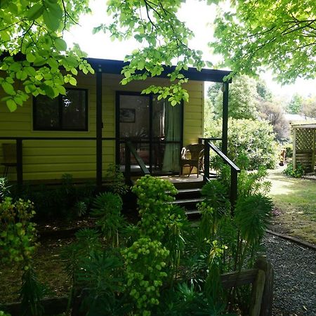 Ivy'S Cottage Greytown Esterno foto