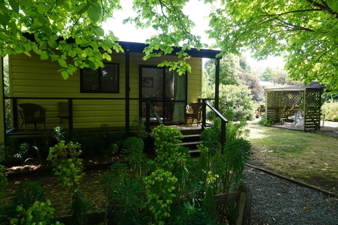 Ivy'S Cottage Greytown Esterno foto